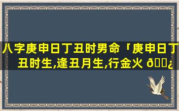 八字庚申日丁丑时男命「庚申日丁丑时生,逢丑月生,行金火 🌿 运,命主官至极品」